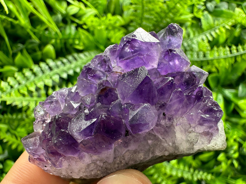 Uruguay Amethyst Cluster: Purple Quartz Crystal, Home Decor