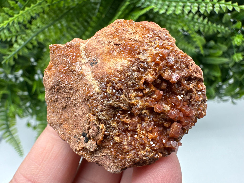 Red Vanadinite on Matrix from Marocco,crystal minerals Speciment cluster Vanadinite crystal Vanadinite Geology Vanadinite cluster minerals