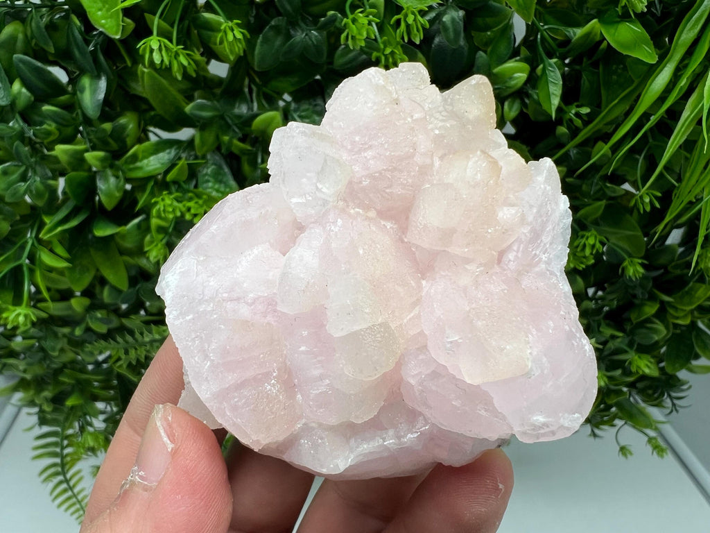 UV Reactive Mangano Calcite Crystal: Androvo Mine, Bulgaria