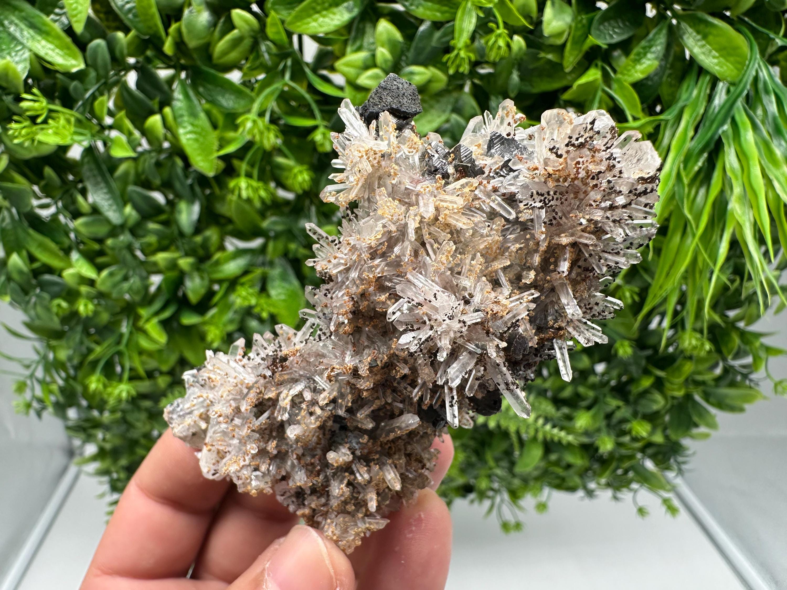 Wonderful Sphalerite Chalcopyrite on  Quartz whit Hematite feom 9 th September mine,Bulgaria,natural,collection mineral specimen,gift