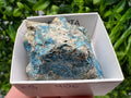 Rare Raw Aerinite Mineral Specimen: Lleida, Spain Collection Crystal