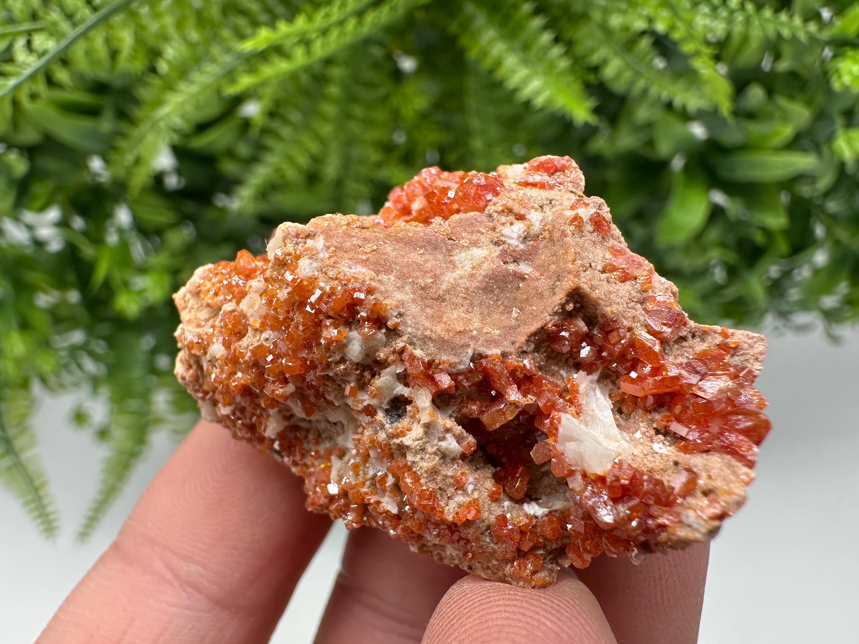 Red Vanadinite on Matrix from Marocco,crystal minerals Speciment cluster Vanadinite crystal Vanadinite Geology Vanadinite cluster minerals