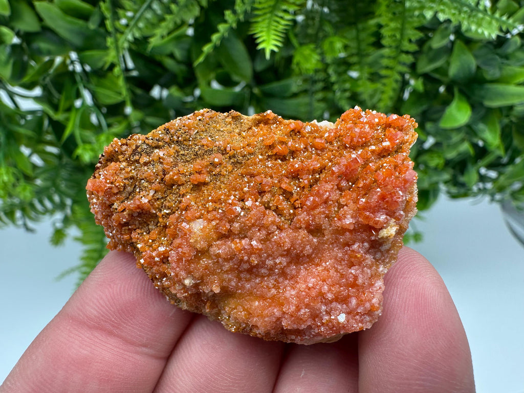 Red Vanadinite on Barite from Marocco,crystal minerals Speciment cluster Vanadinite crystal Vanadinite Geology Vanadinite cluster minerals