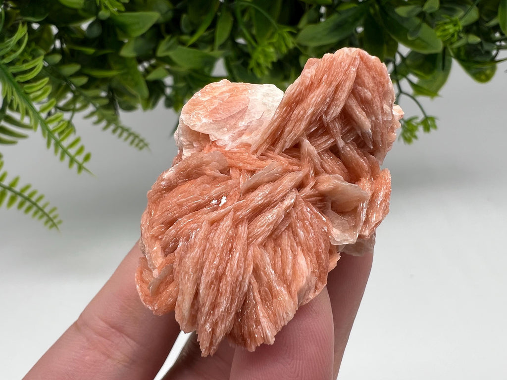 Wonderful Baryte with Cerussite on Galena from Morocco,Crystal, Mineral,Specimen,Cluster,Crystals,Barite Crystal,Cerussite Crystal,Specimen