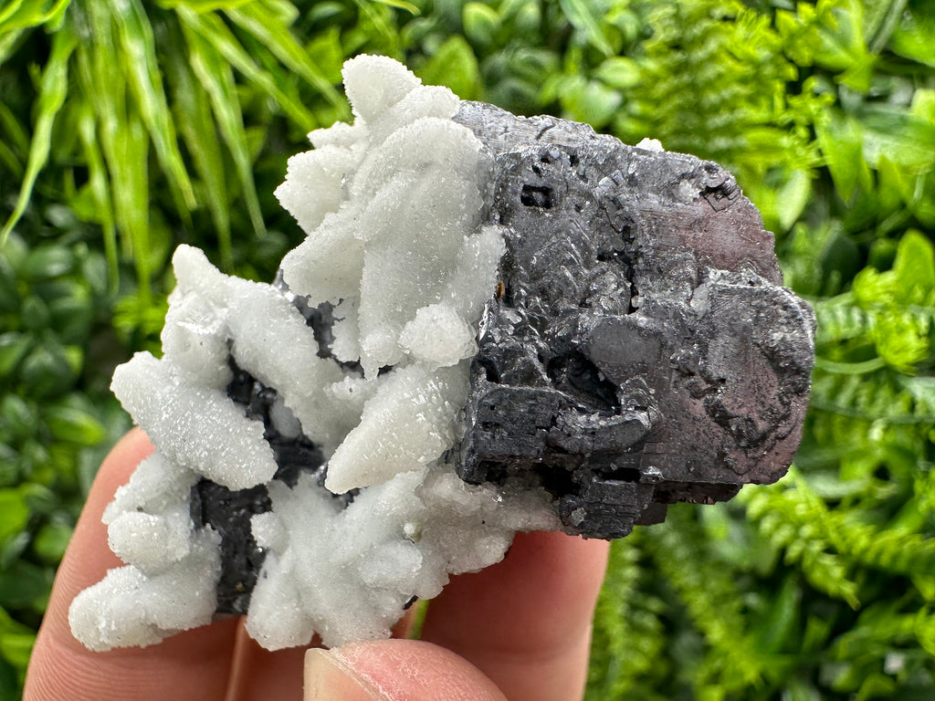 Rare Calcite on Galena: Borieva Mine, Bulgaria