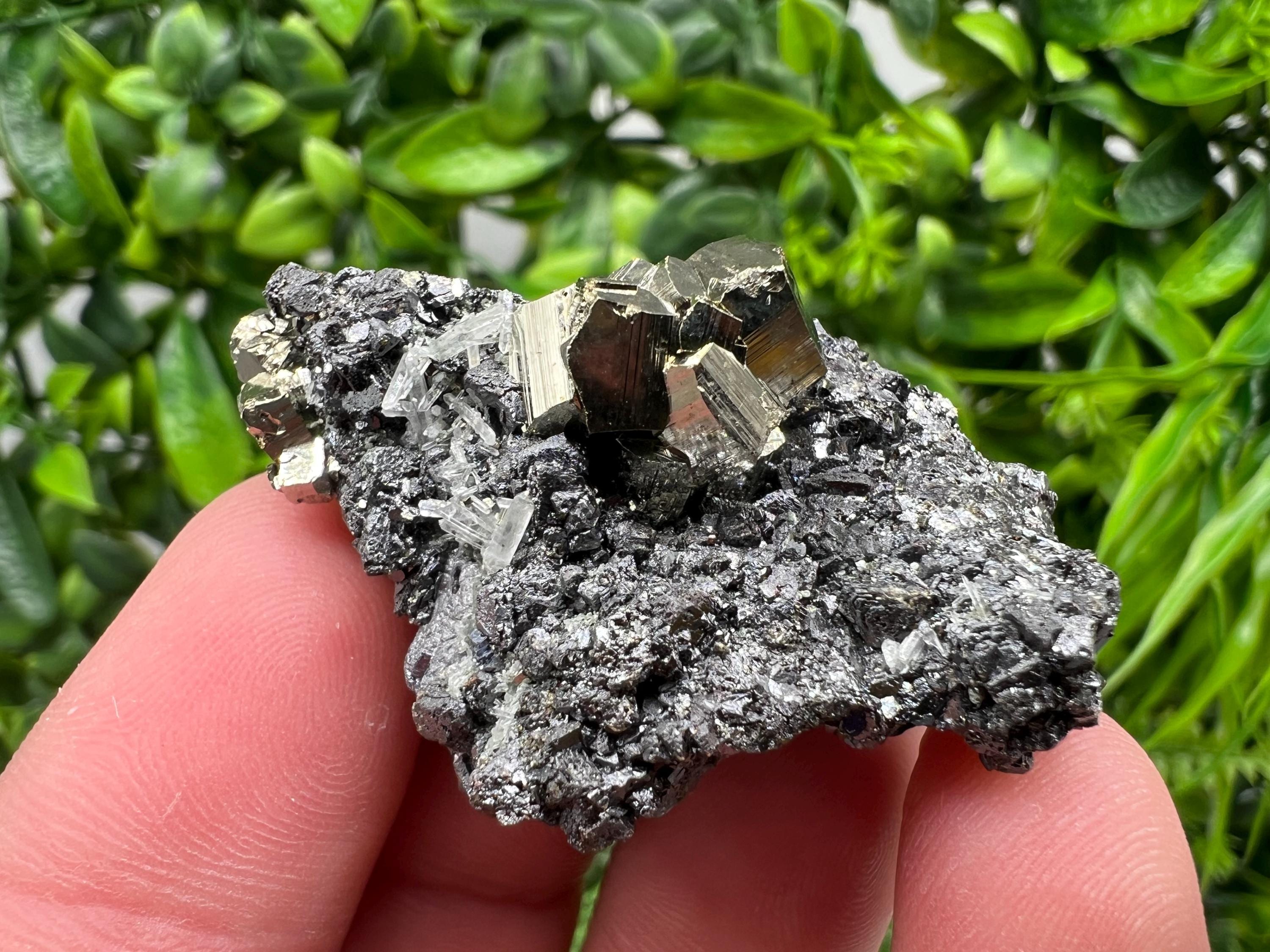 Pyrite Galena Sphalerite Quartz Specimen: Borieva Mine Mineral Decor