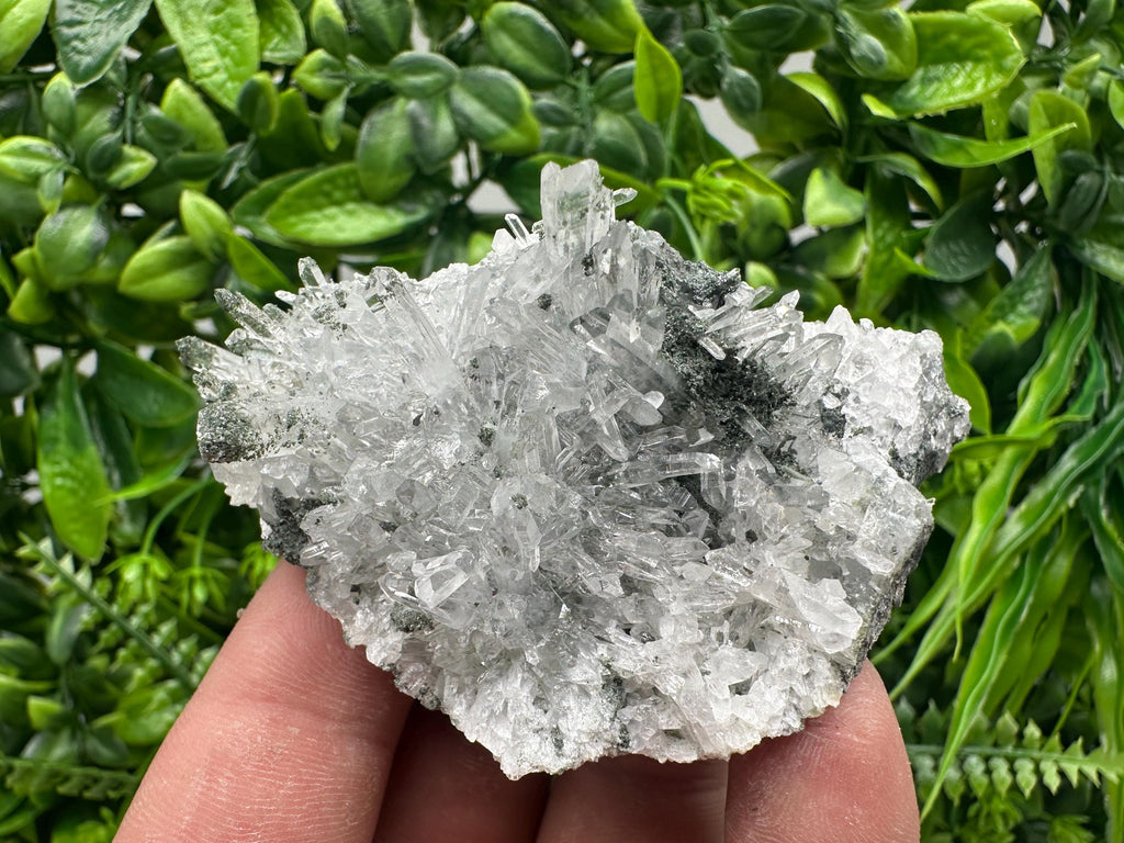 Transparent Quartz on Chlorite Matrix - Borieva Mine, Bulgaria