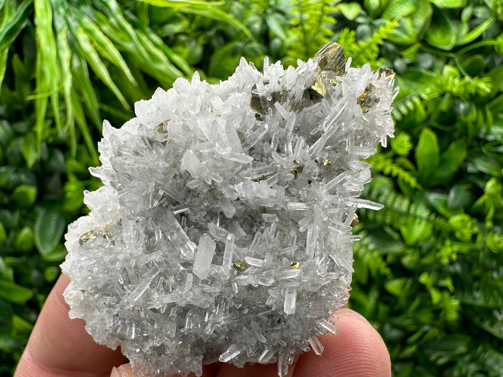 Chalcopyrite on Quartz Crystal: Borieva Mine, Bulgaria