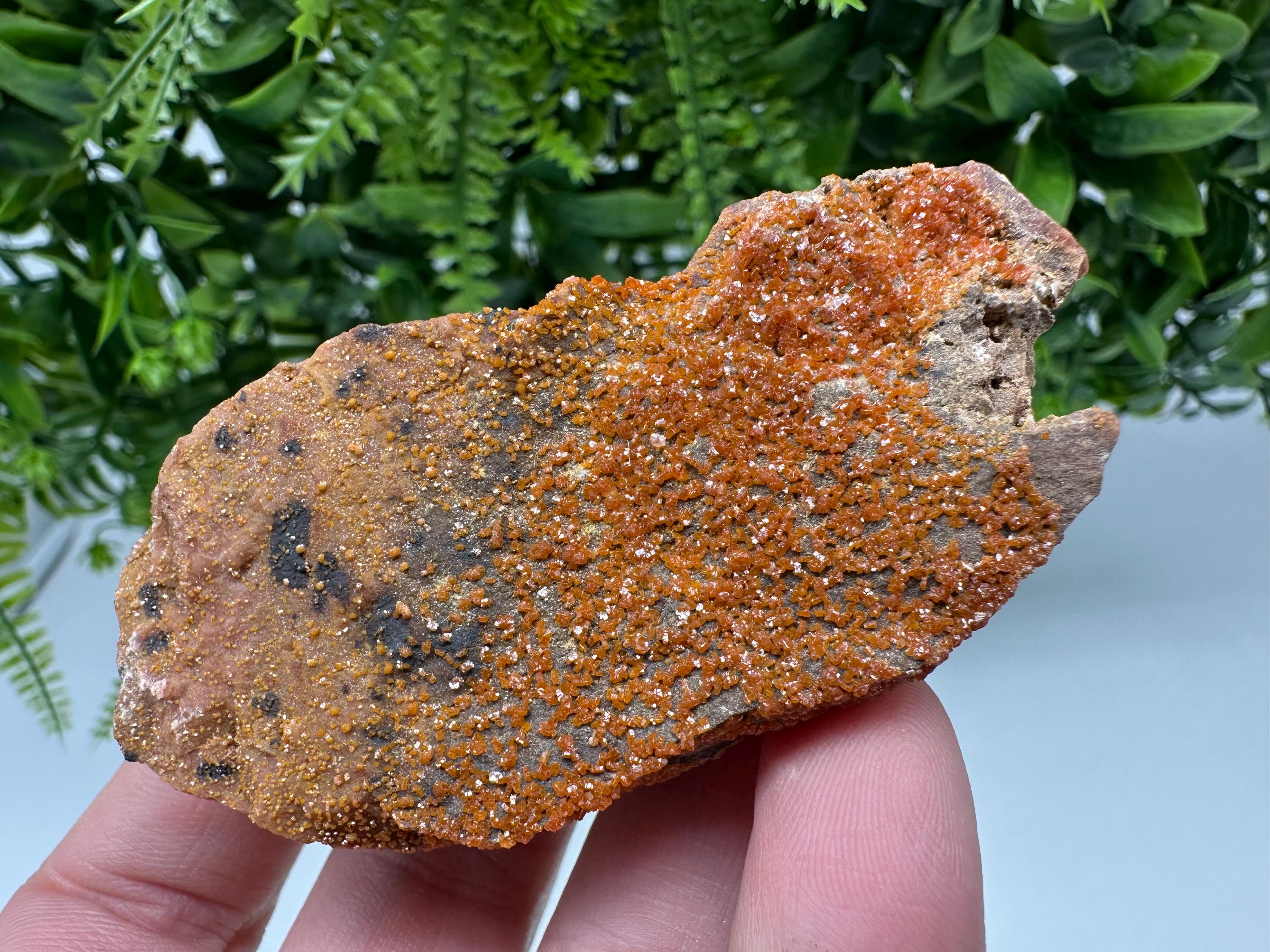 Red Vanadinite on Matrix from Marocco,crystal minerals Speciment cluster Vanadinite crystal Vanadinite Geology Vanadinite cluster minerals