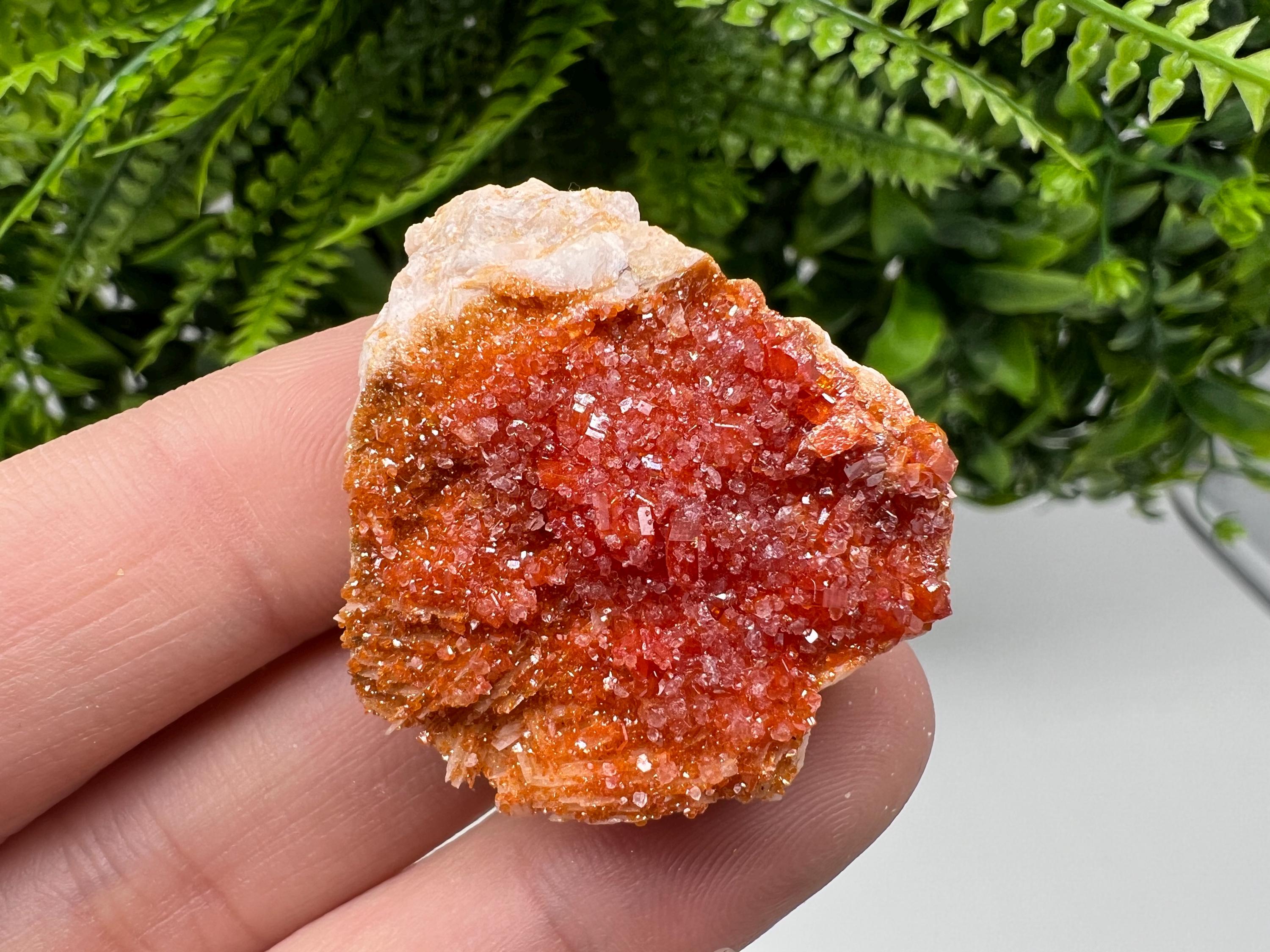 Red Vanadinite Crystal Cluster on Barite, Morocco Mineral Specimen