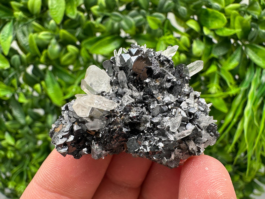 Wonderful Sphalerite Chalcopyrite on  Quartz whit Galena feom 9 th September mine,Bulgaria,natural,collection mineral specimen,gift