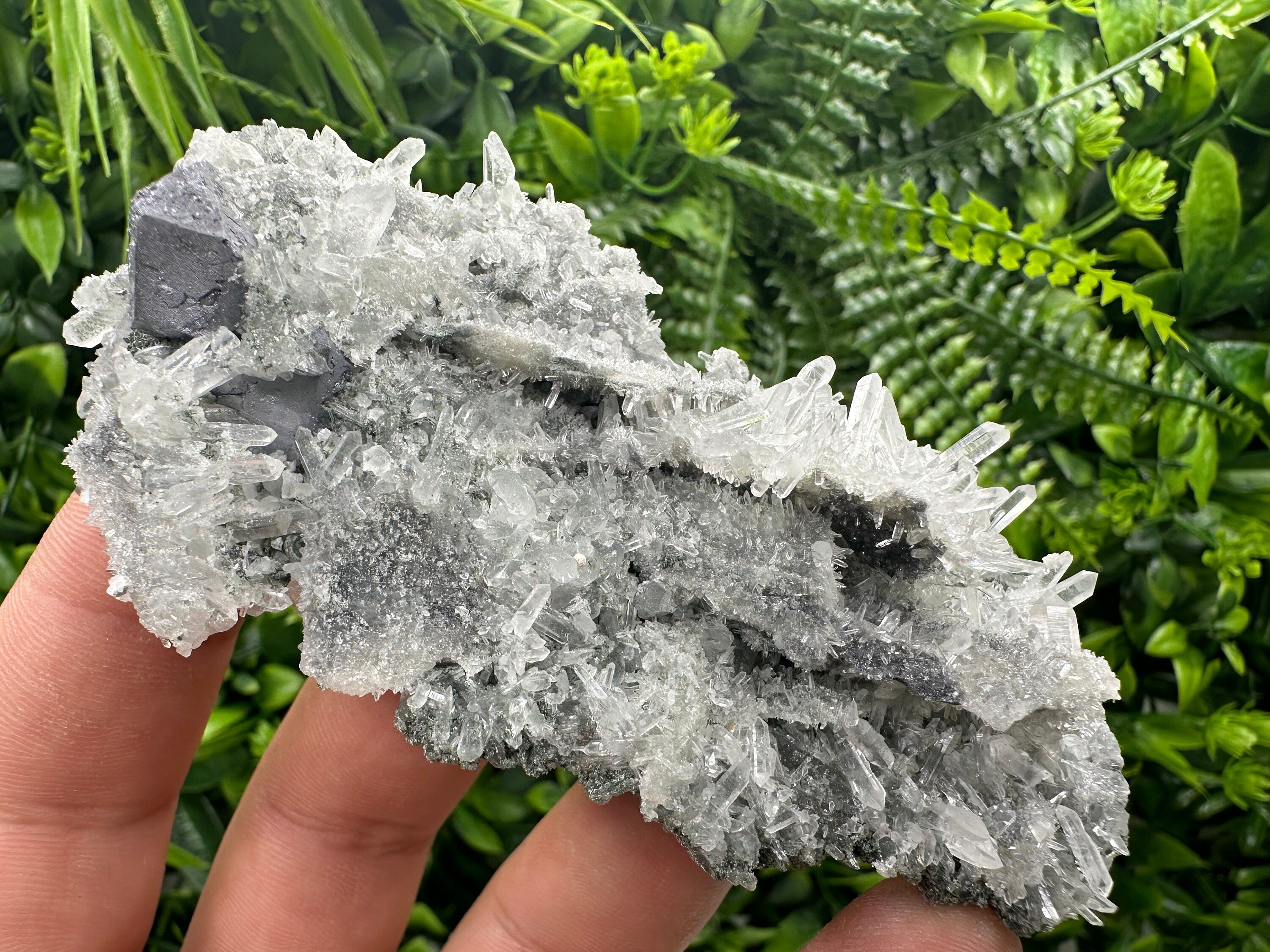 Galena on Green Quartz, Borieva Mine, Mineral Specimen