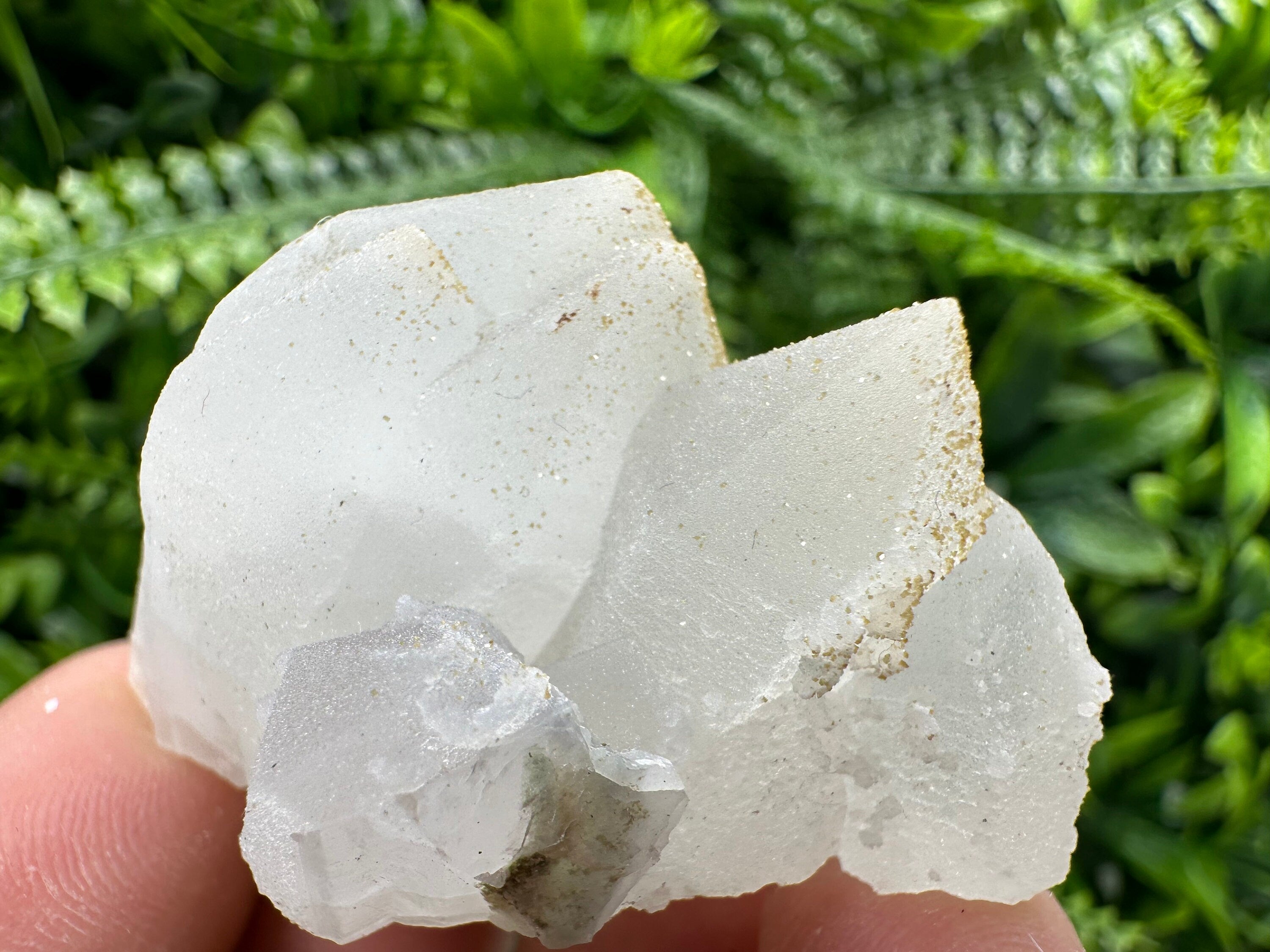 Quartz Rhodochrosite Cluster, Djurcovo Bulgaria Mineral Specimen