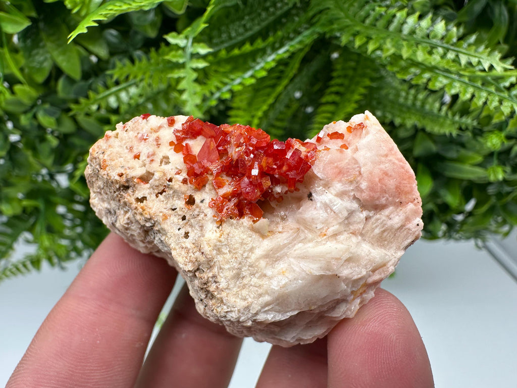 Red Vanadinite on Barite, Morocco Mineral Specimen