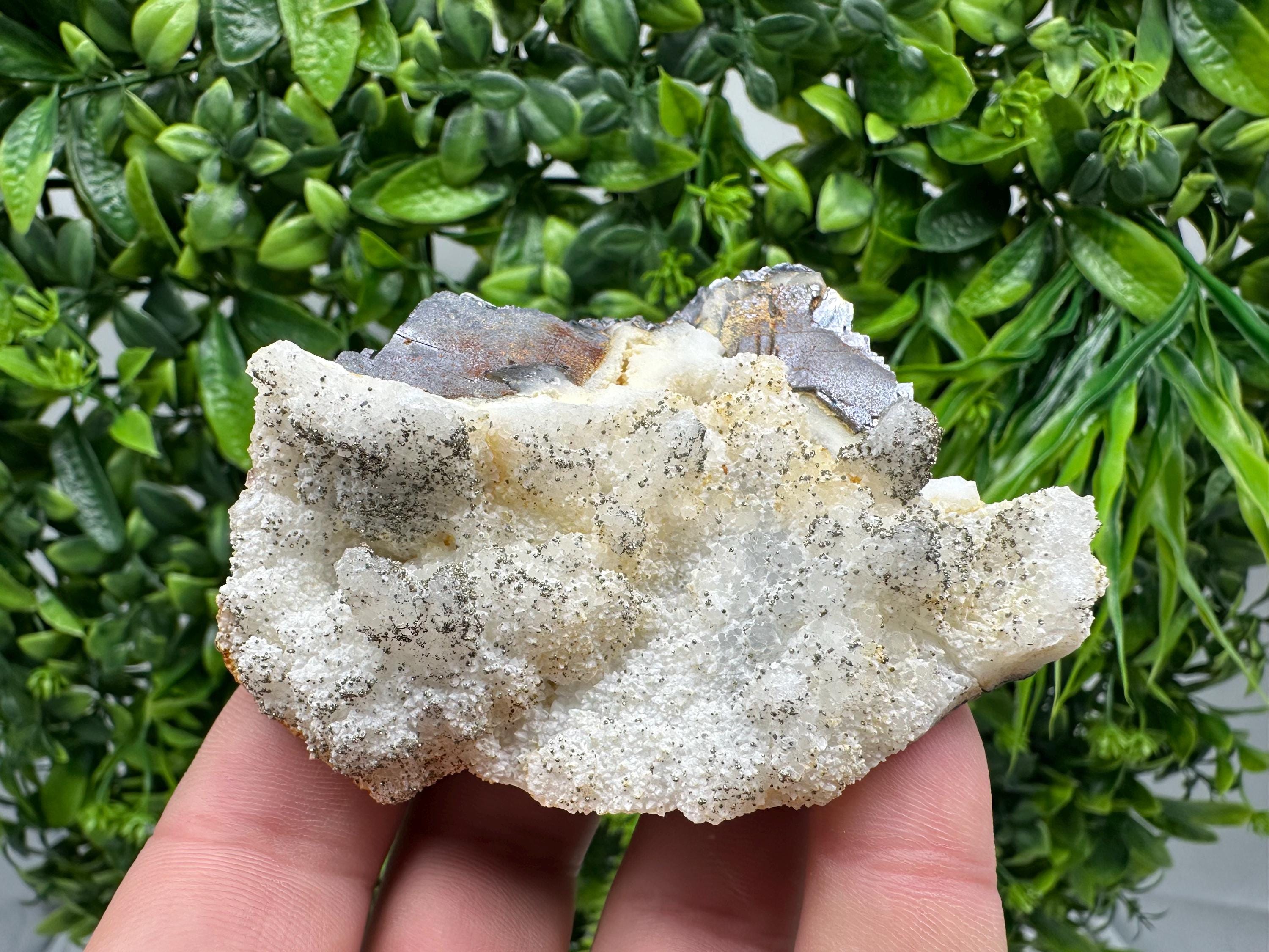 Galena Marcasite on Chalcedony: Androvo Mine Bulgaria Crystal