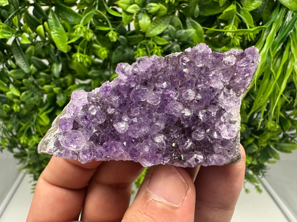 Uruguay Amethyst Cluster, Purple Quartz Crystal, Home Decor