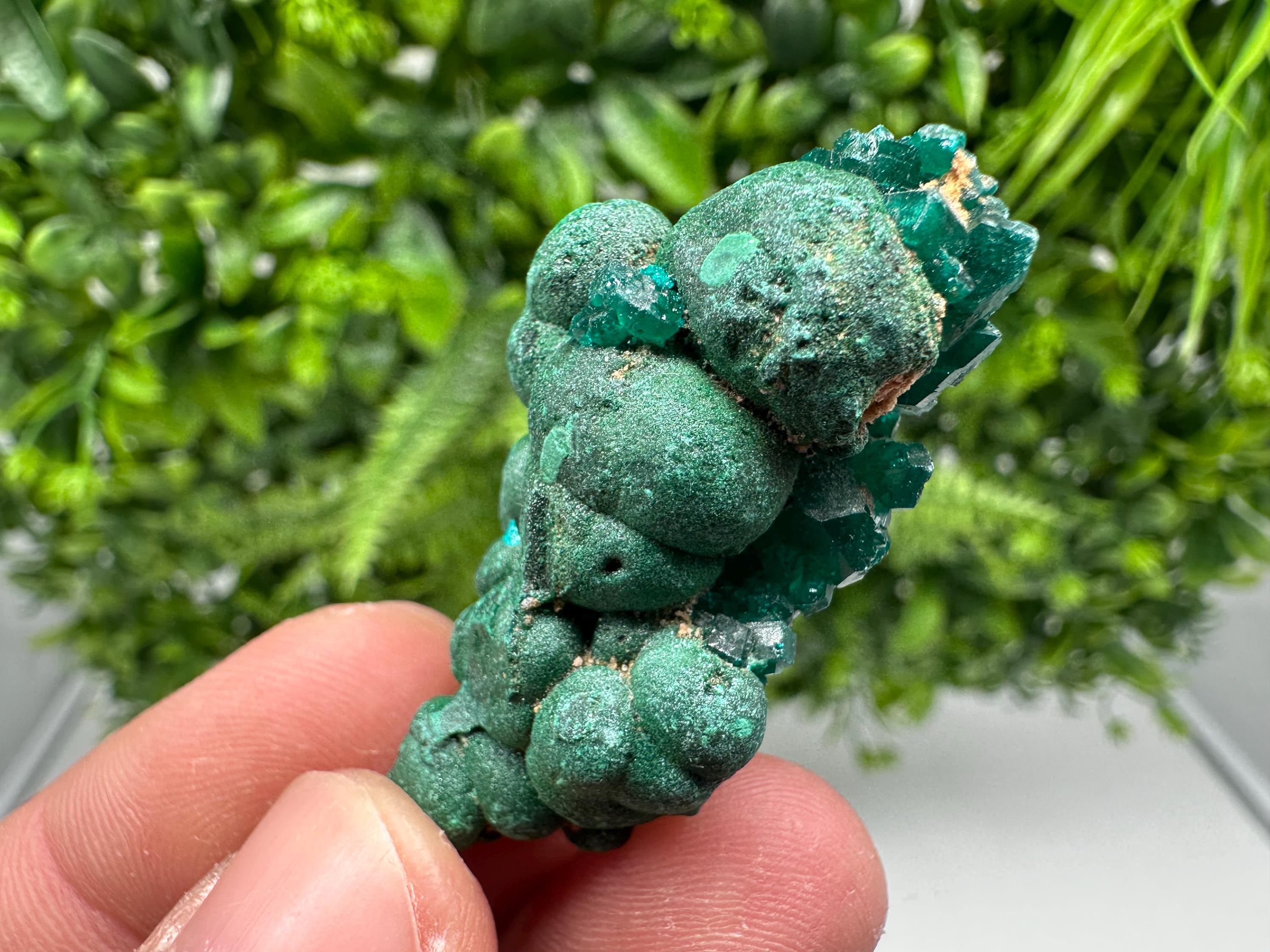 Stunning Green Dioptase from Sanda Hills,Mindouli,Pool Department,Mindouli District,Congo,green Dioptase,Dioptas Crystal,Dioptase collecting