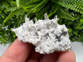 Calcite Quartz on Chlorite Matrix, Borieva Mine Mineral Specimen
