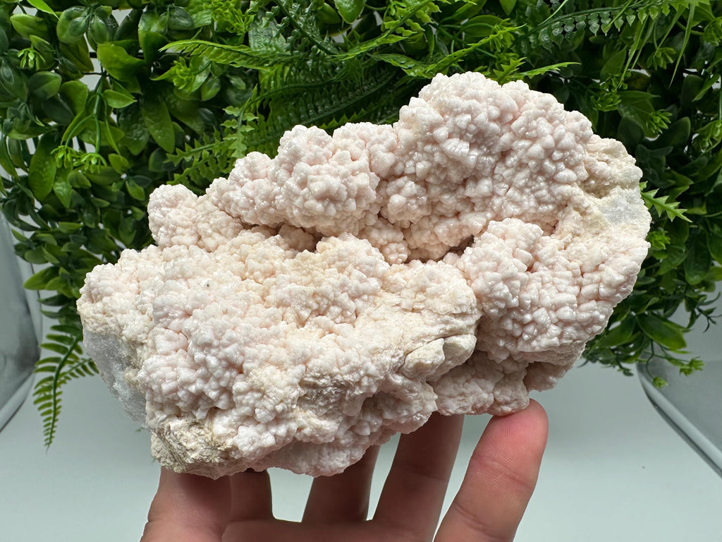 Pink Manganocalcite Specimen, Krushev dol Mine, Bulgaria