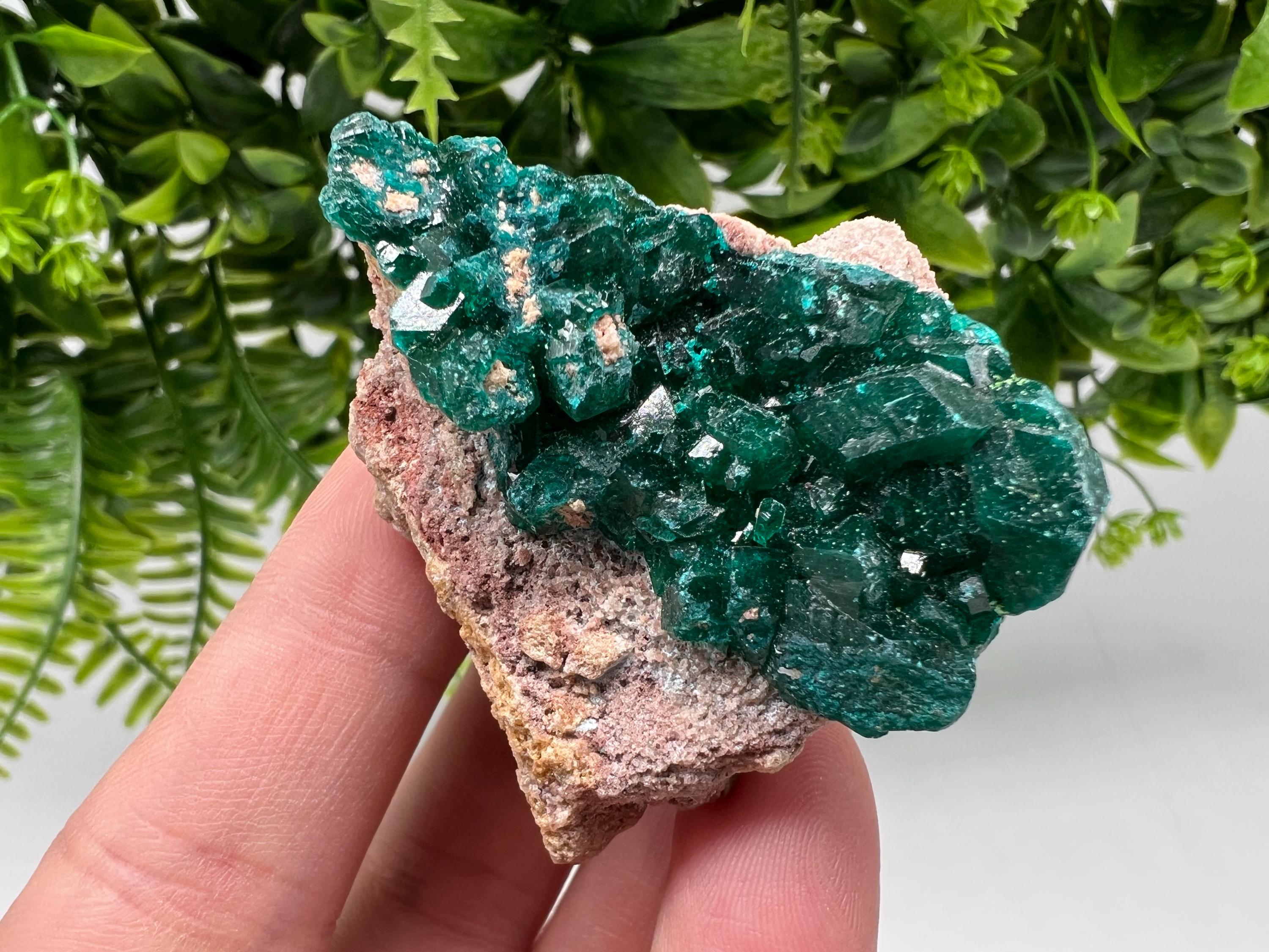 Stunning Green Dioptase from Sanda Hills,Mindouli,Pool Department,Mindouli District,Congo,green Dioptase,Dioptas Crystal,Dioptase collecting