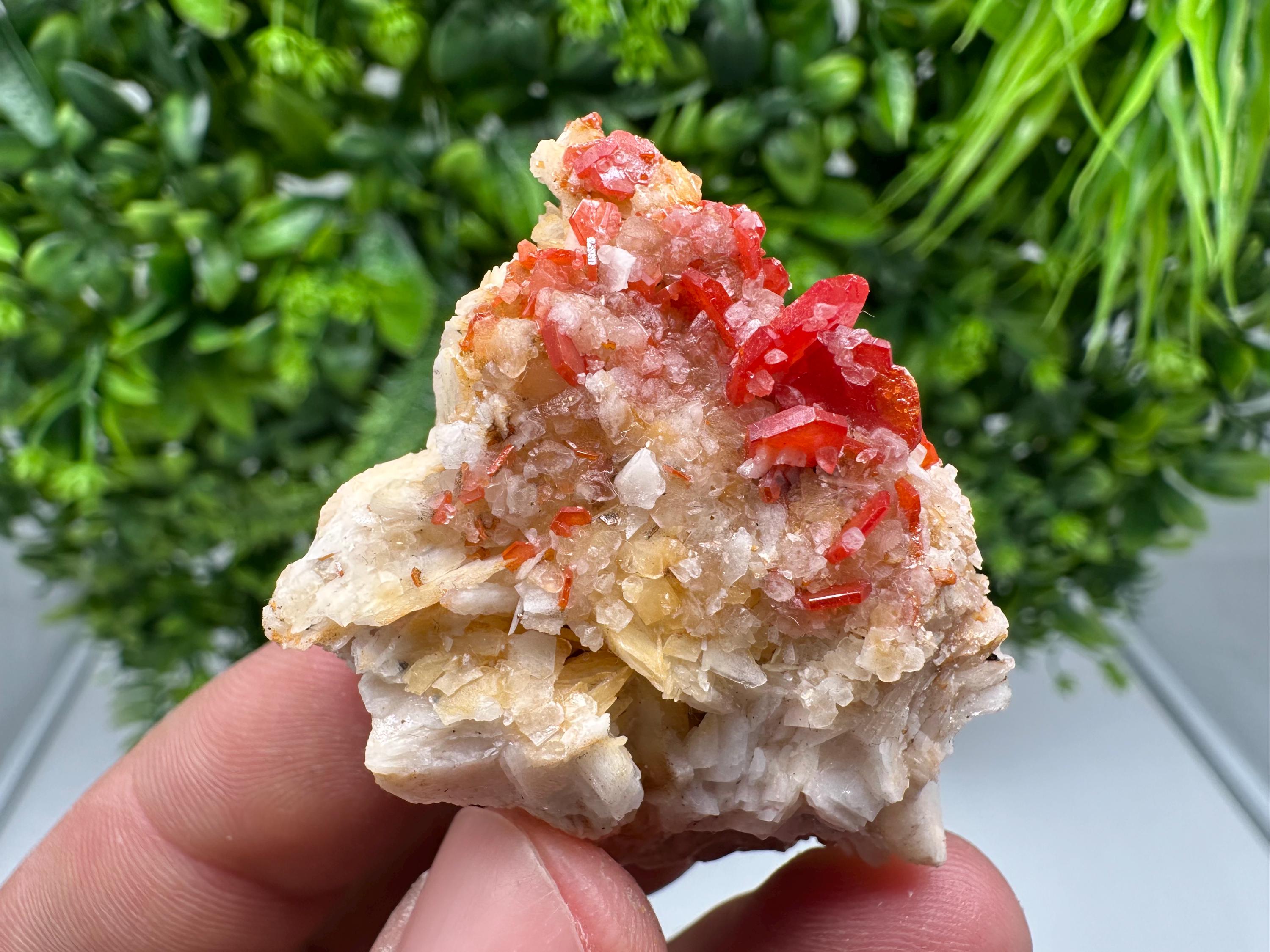 Red Vanadinite on Barite from Marocco,crystal minerals Speciment cluster Vanadinite crystal Vanadinite Geology Vanadinite cluster minerals