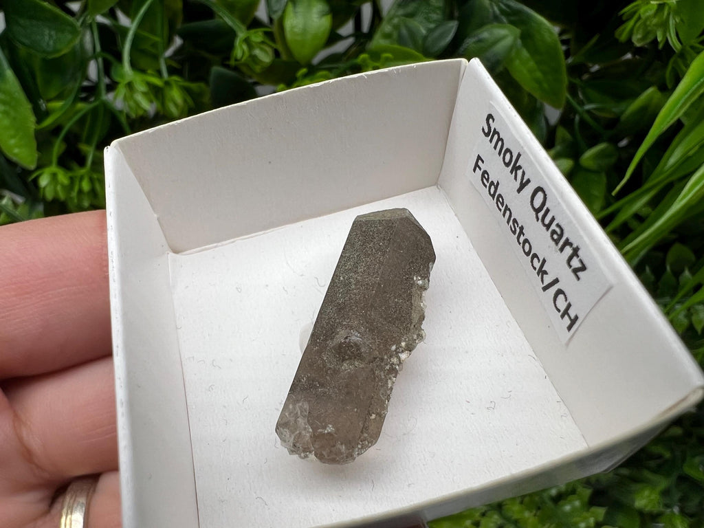 Rare Fedenstock Smoky Quartz Point, Switzerland Mineral Specimen (35MM)