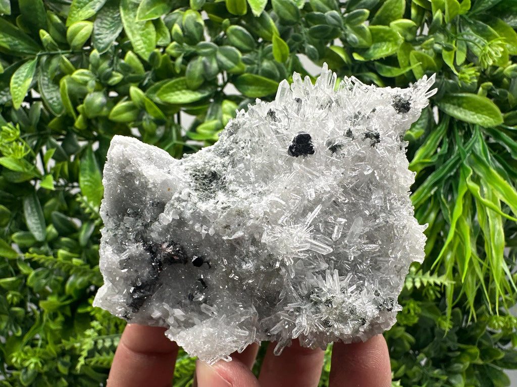 Sphalerite on Green Quartz, Borieva Mine Mineral Specimen
