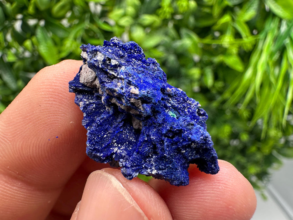 Crystallized Azurite-Kerrouchen,Morocco-Blue Azurite Specimen-High Quality Blue Azurite-Azurite Mineral Specimen, gemmy,lustrous of Azurite
