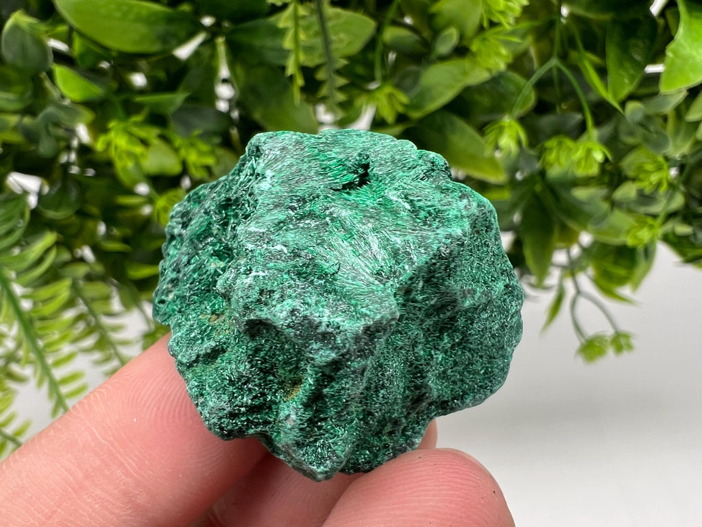 Malachite Crystal from Congo,Minerals,Crystals from Congo,Green Malachite, Malachite,Natural Malachite,Malachite Stone,Chakra, Specimens