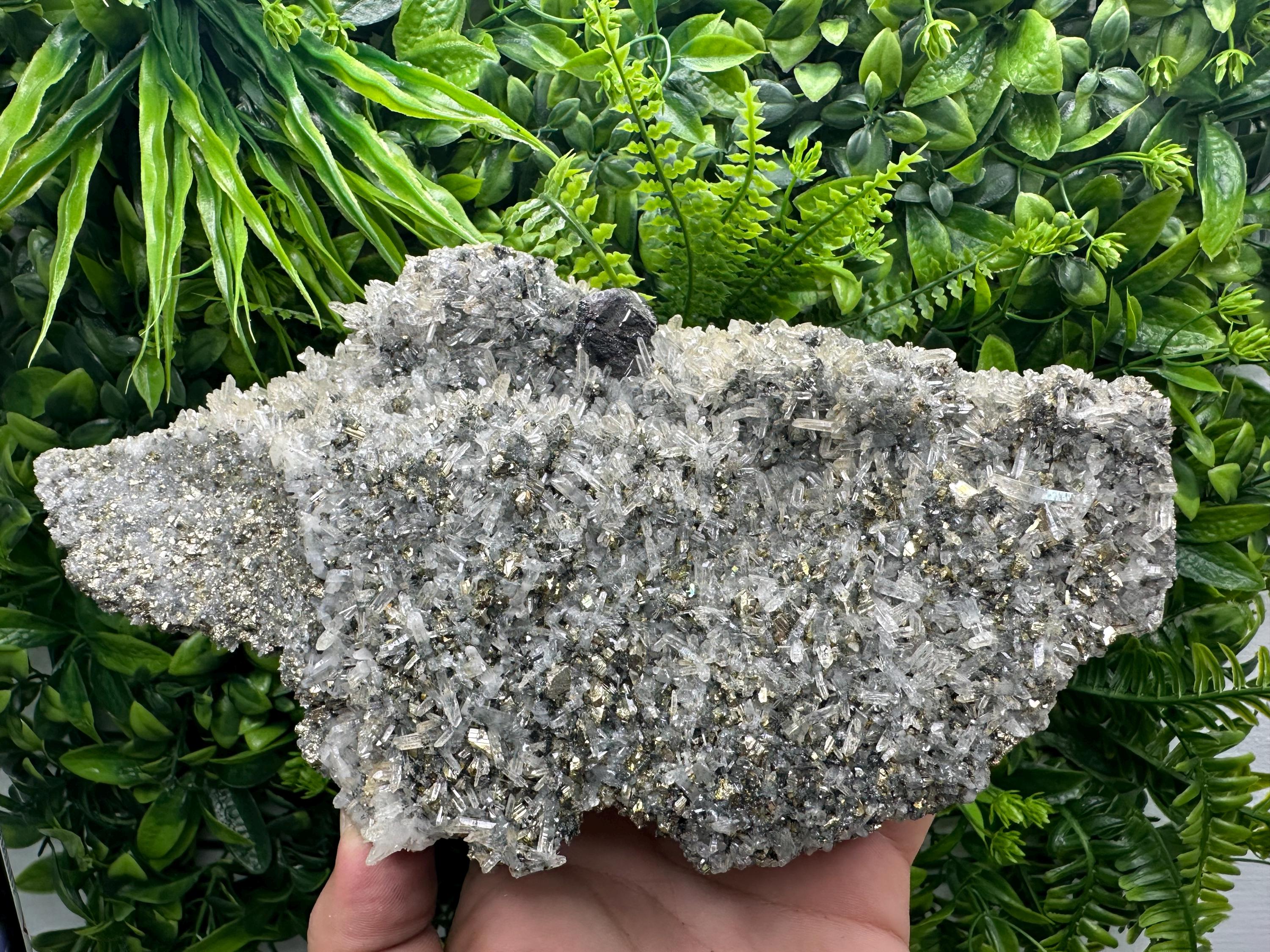 Sphalerite on Quartz with Pyrite, Borieva Mine Mineral Specimen