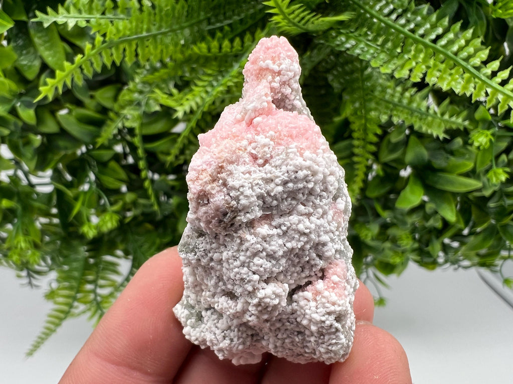 RARE Rhodochrosite with White Calcite, Starnica Mine Bulgaria