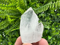 Transparent Quartz Crystal, Djurcovo Mine Mineral Specimen