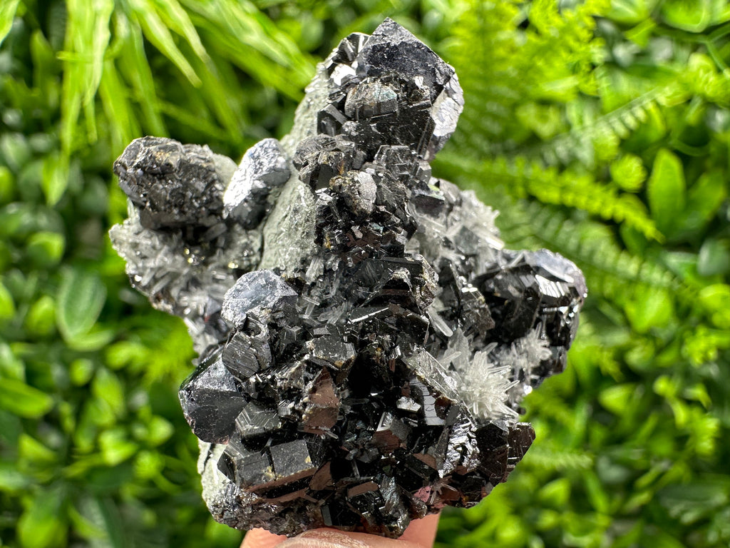 Galena Sphalerite on Needle Quartz: Borieva Mine Crystal, Bulgaria