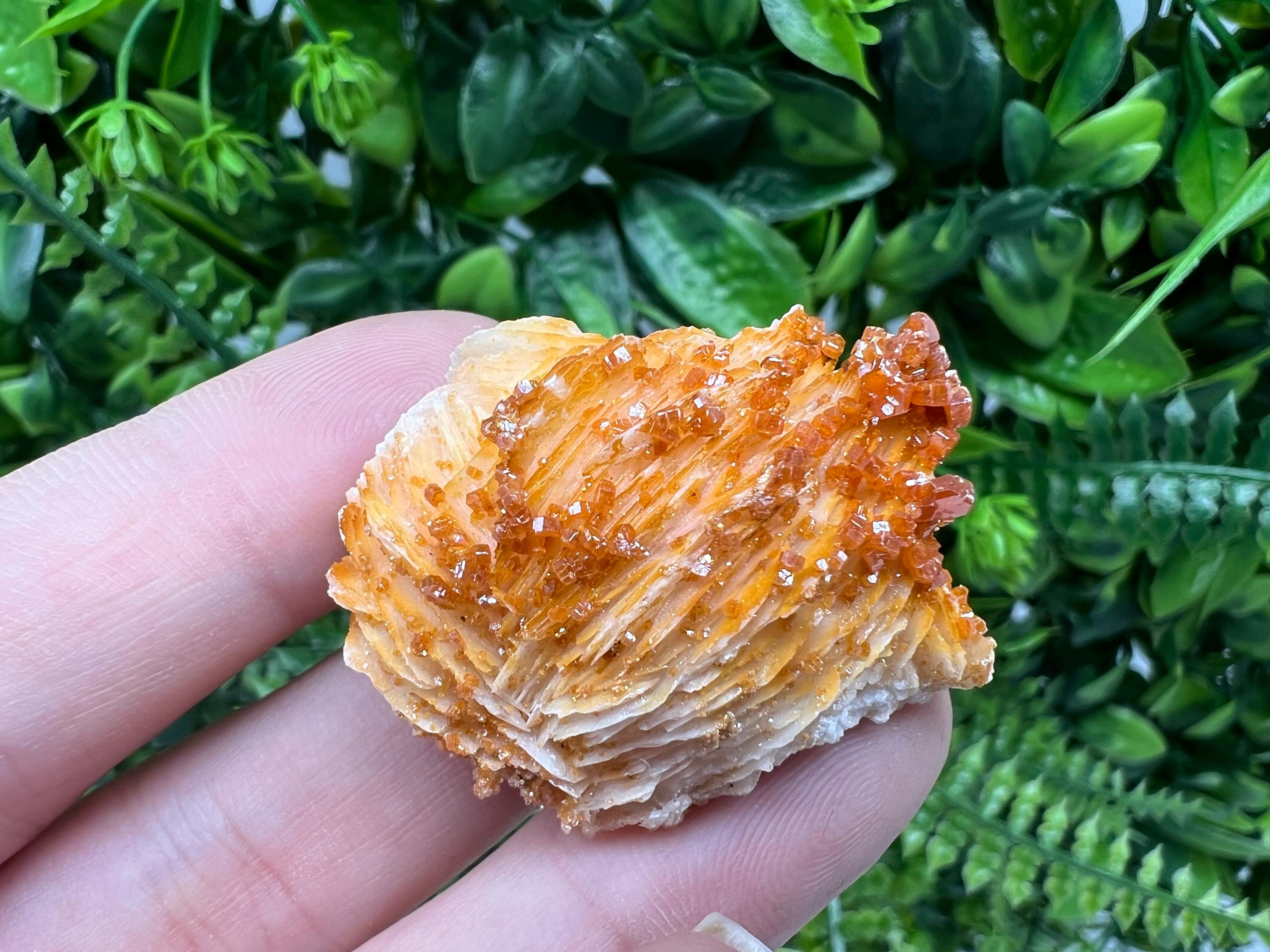 Red Vanadinite on Barite from Marocco,crystal minerals Speciment cluster Vanadinite crystal Vanadinite Geology Vanadinite cluster minerals