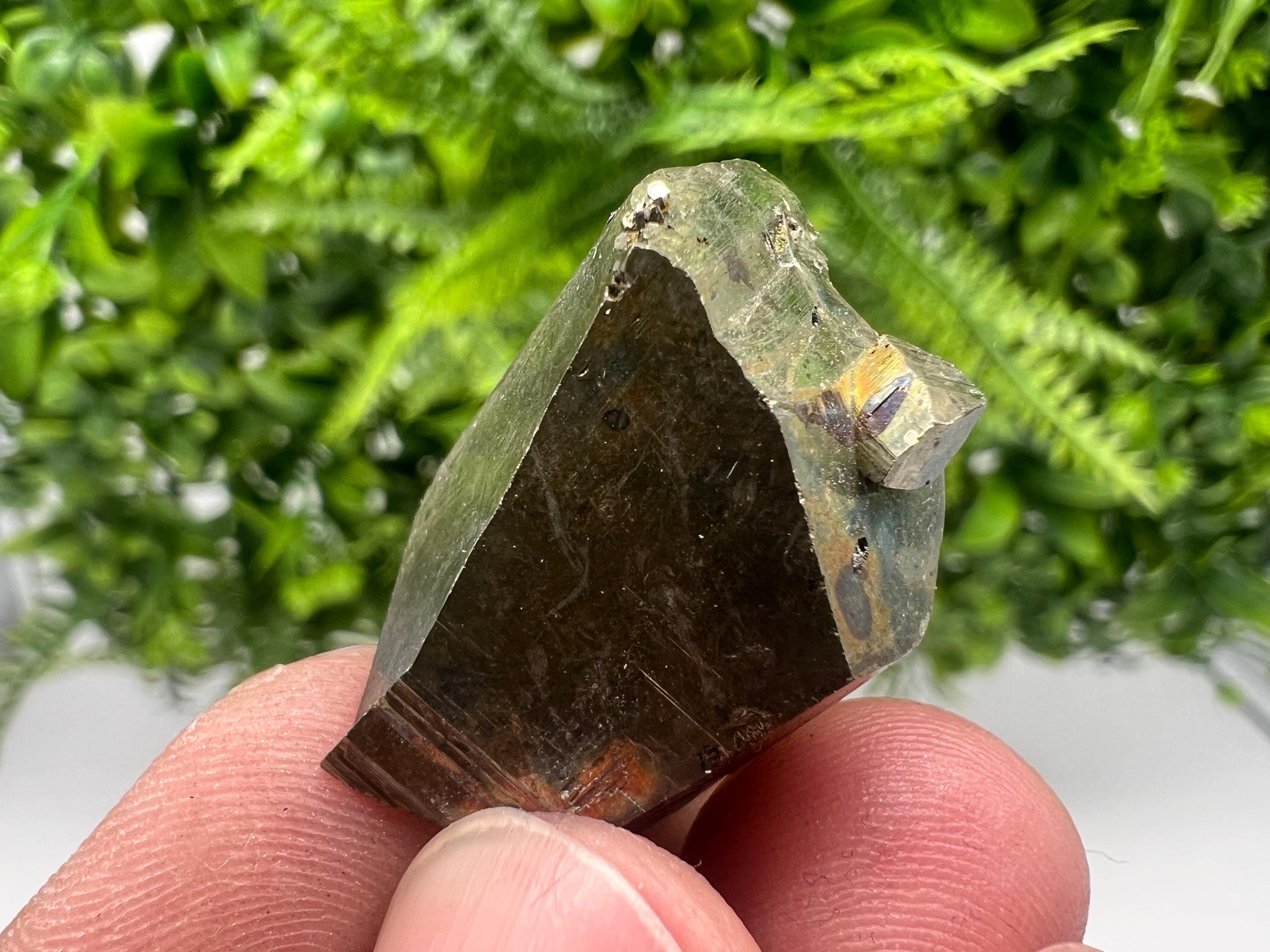 Mini Rare crystallisation Pyrite,Borieva mine,Bulgaria,floating Pyrite,golden Pyrite,Pyrite cluster,mini Collection specimen,Rainbow Pyrite