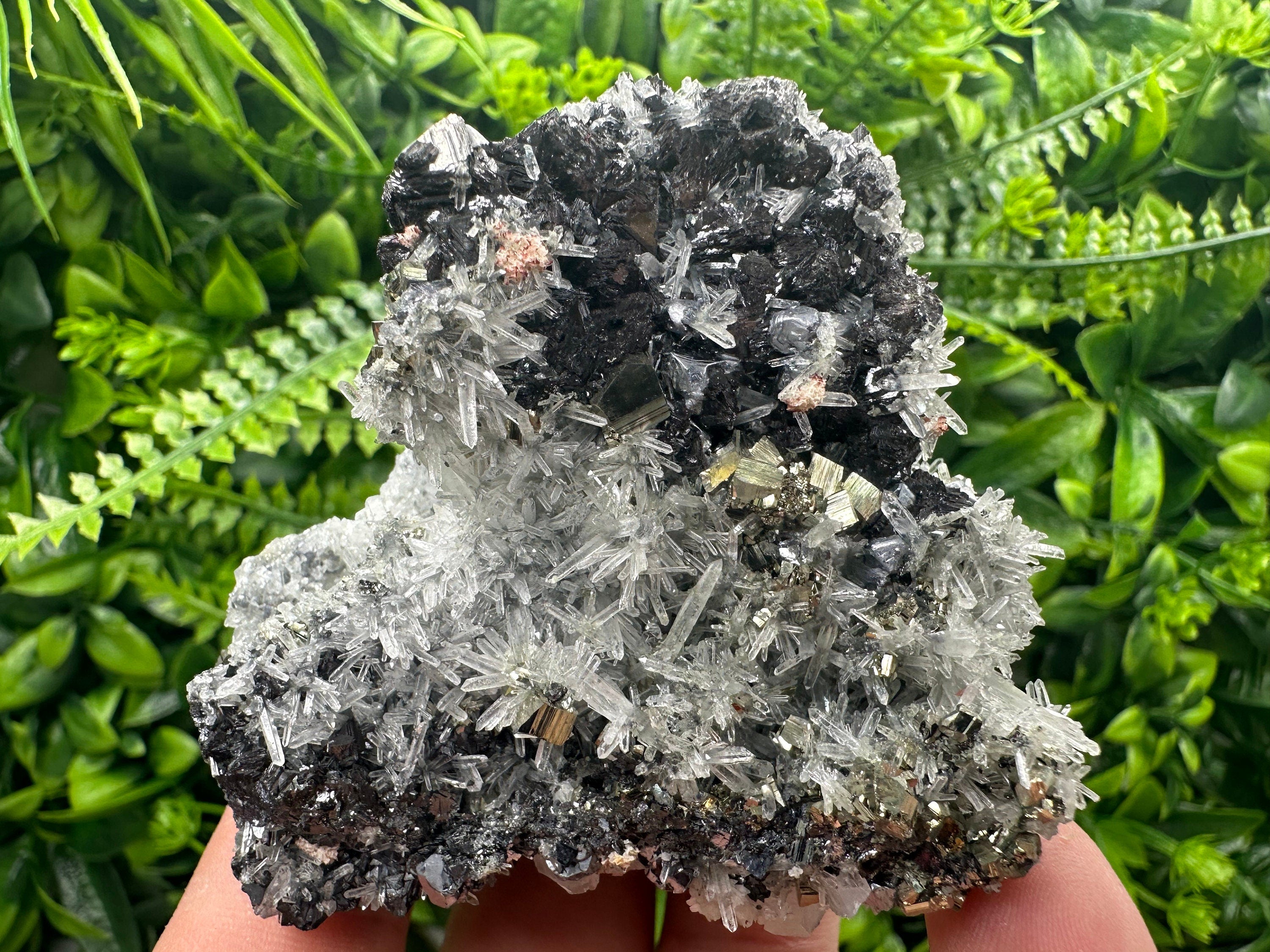 Sphalerite Galena Pyrite on Quartz, Borieva Mine Mineral Specimen