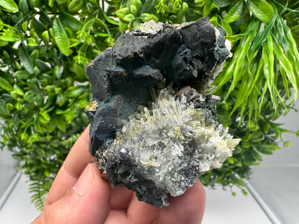 Chalcopyrite Bornite Covelline Mineral Specimen: Djurcovo Mine, Bulgaria
