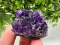 Uruguay Amethyst Crystal: Purple Quartz Home Decor, Energy Stone