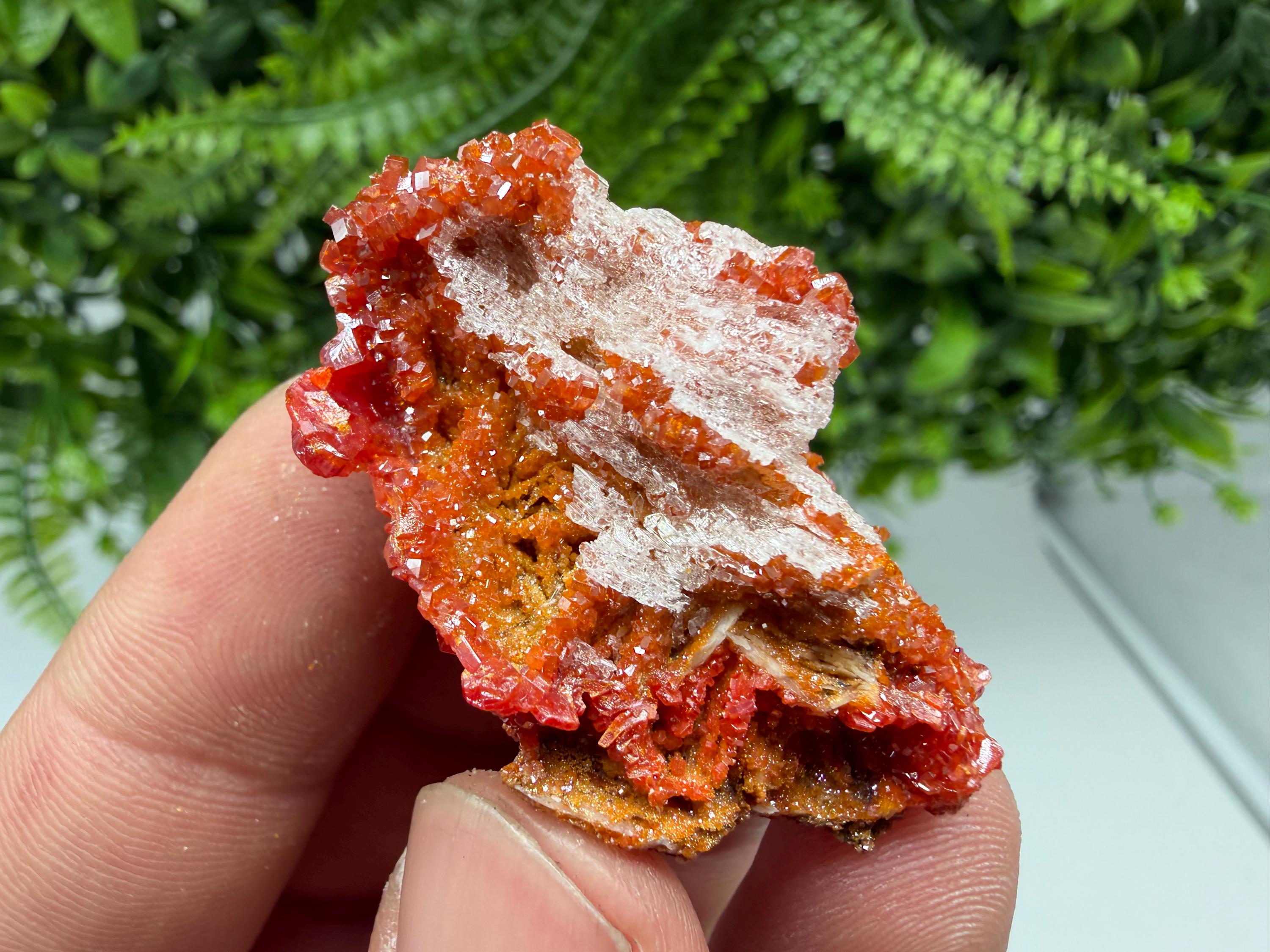 Red Vanadinite Crystal Cluster on Barite, Morocco Mineral Specimen