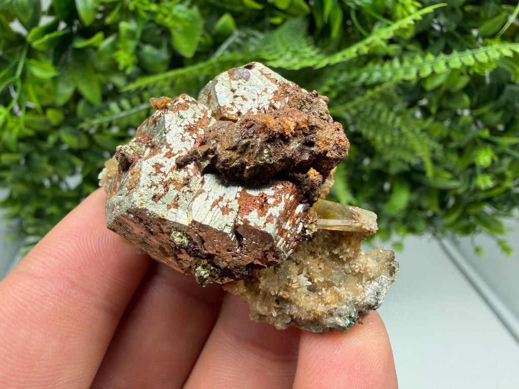 Rainbow Pyrite with Quartz, Borieva Bulgaria Mineral Specimen