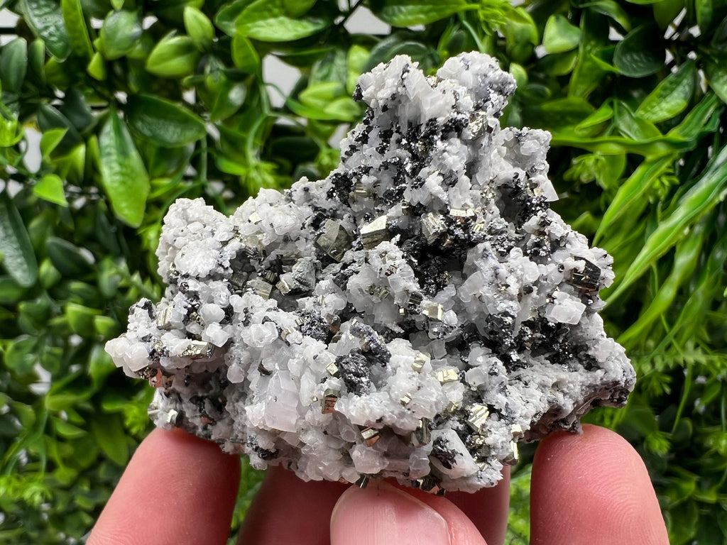 Pyrite on Quartz, Calcite Mineral Specimen, Borieva Mine, Bulgaria