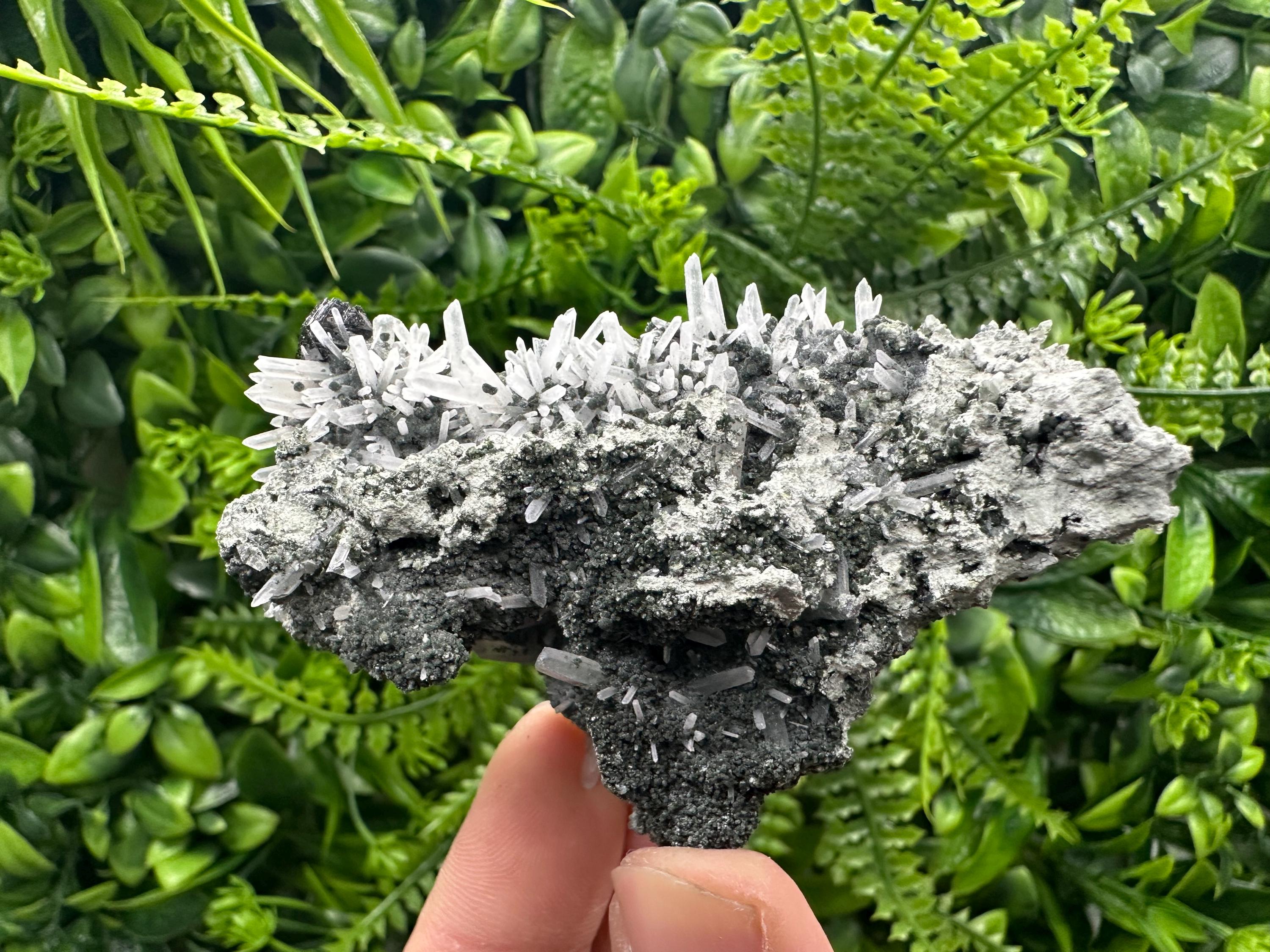 Quartz with Chlorite and Sphalerite, Borieva Mine Mineral Specimen