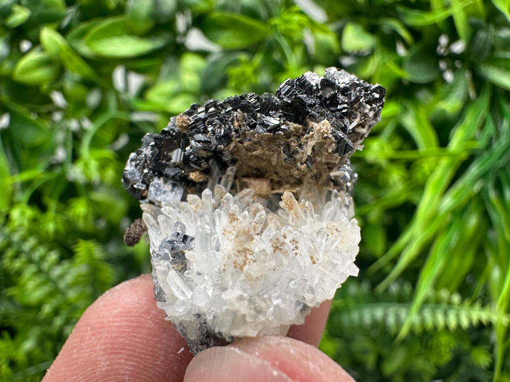 Sphalerite on Green Quartz, Borieva Mine Mineral Specimen