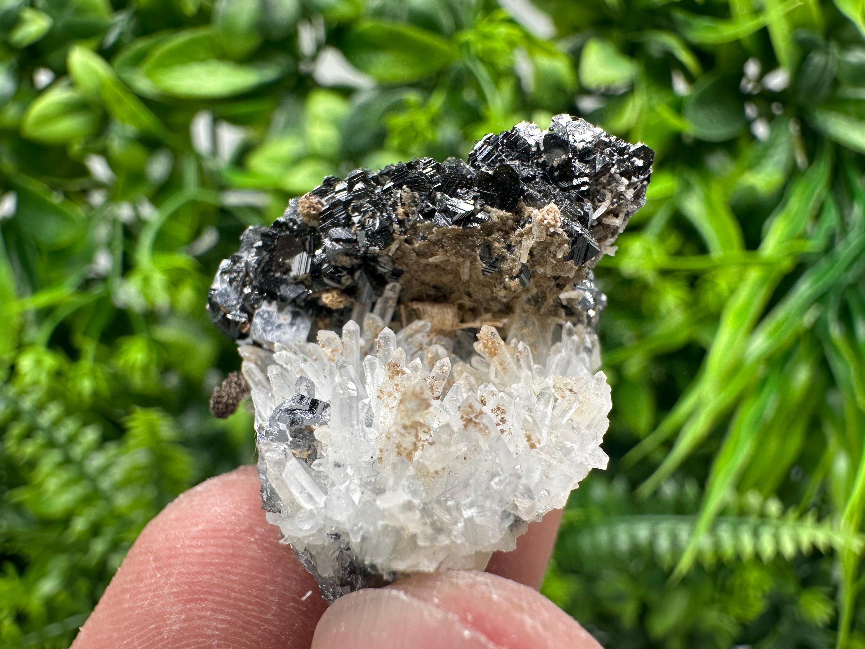 Sphalerite on Green Quartz, Borieva Mine Mineral Specimen