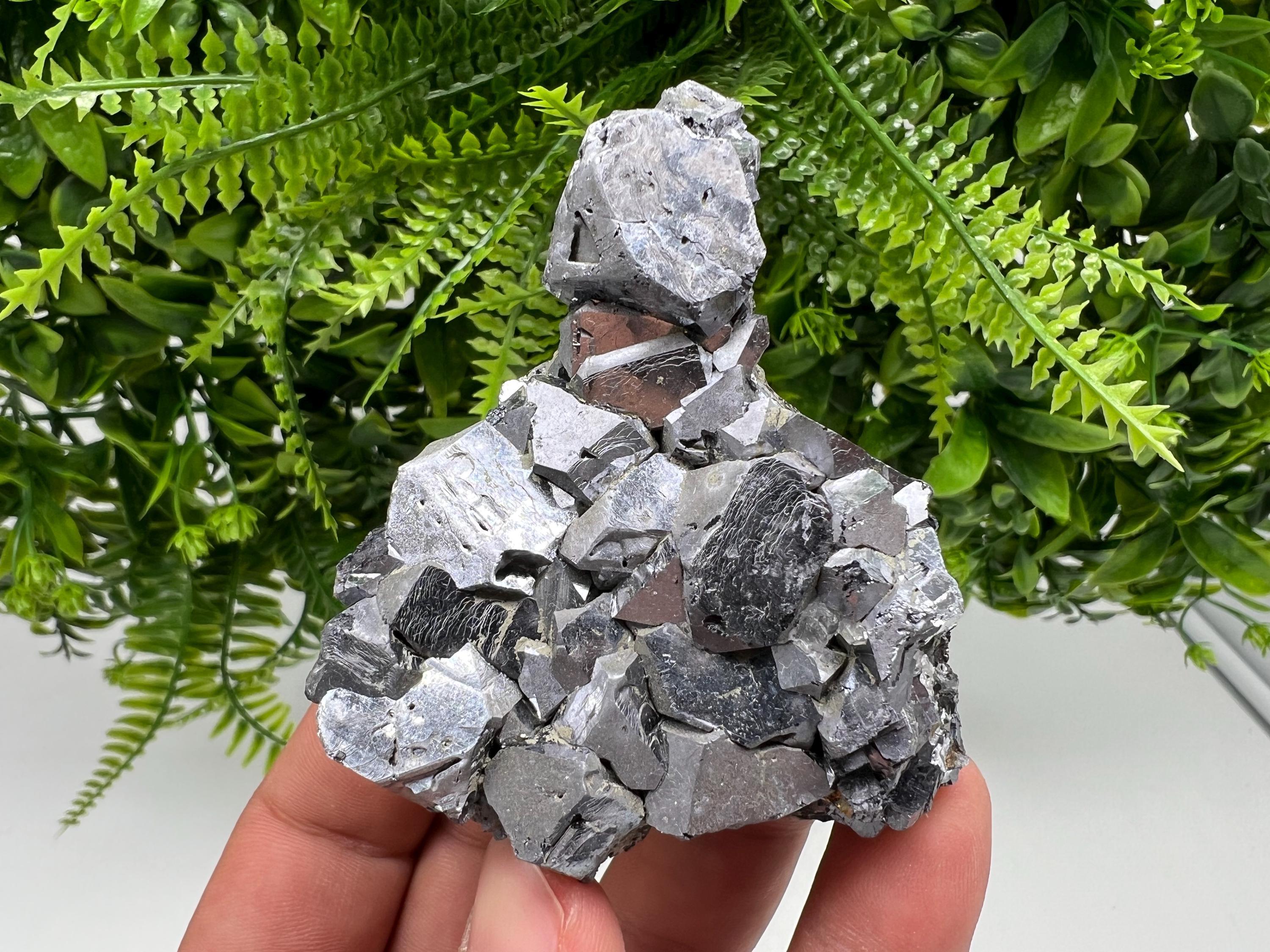 Mirror Galena Mineral Specimen: Rare Crystal from Krushev dol Mine