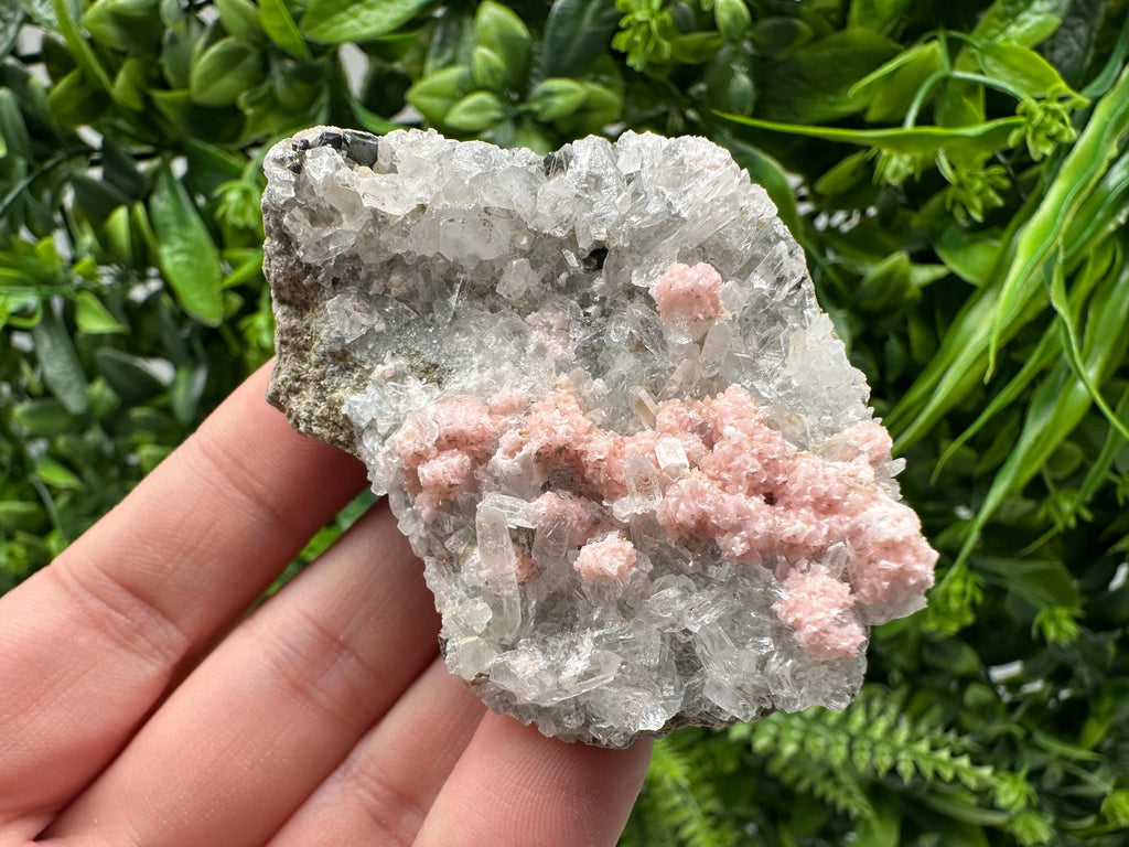 Pink Rhodochrosite Crystal: Starnica Mine, Bulgaria, Home Decor