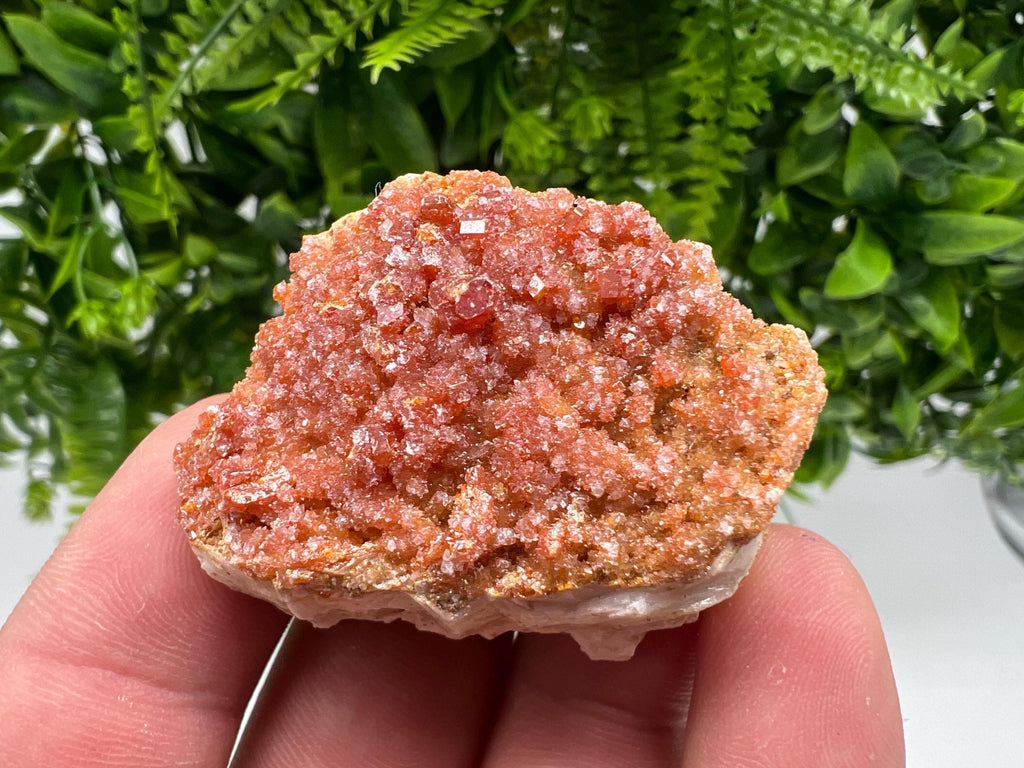 Red Vanadinite on Barite from Marocco,crystal minerals Speciment cluster Vanadinite crystal Vanadinite Geology Vanadinite cluster minerals