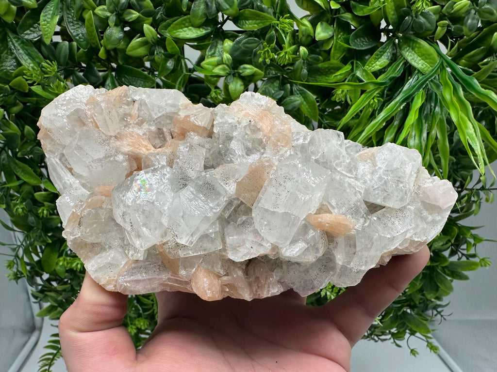 STUNNING Apophyllite,Stilbite,on CHALCEDONY,natural,collection minerals specimen,India ,Mineral,Crystal,Stone Mineral Specimen India Crystal