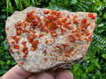 Red Vanadinite Crystal Cluster on Matrix, Morocco Mineral Specimen