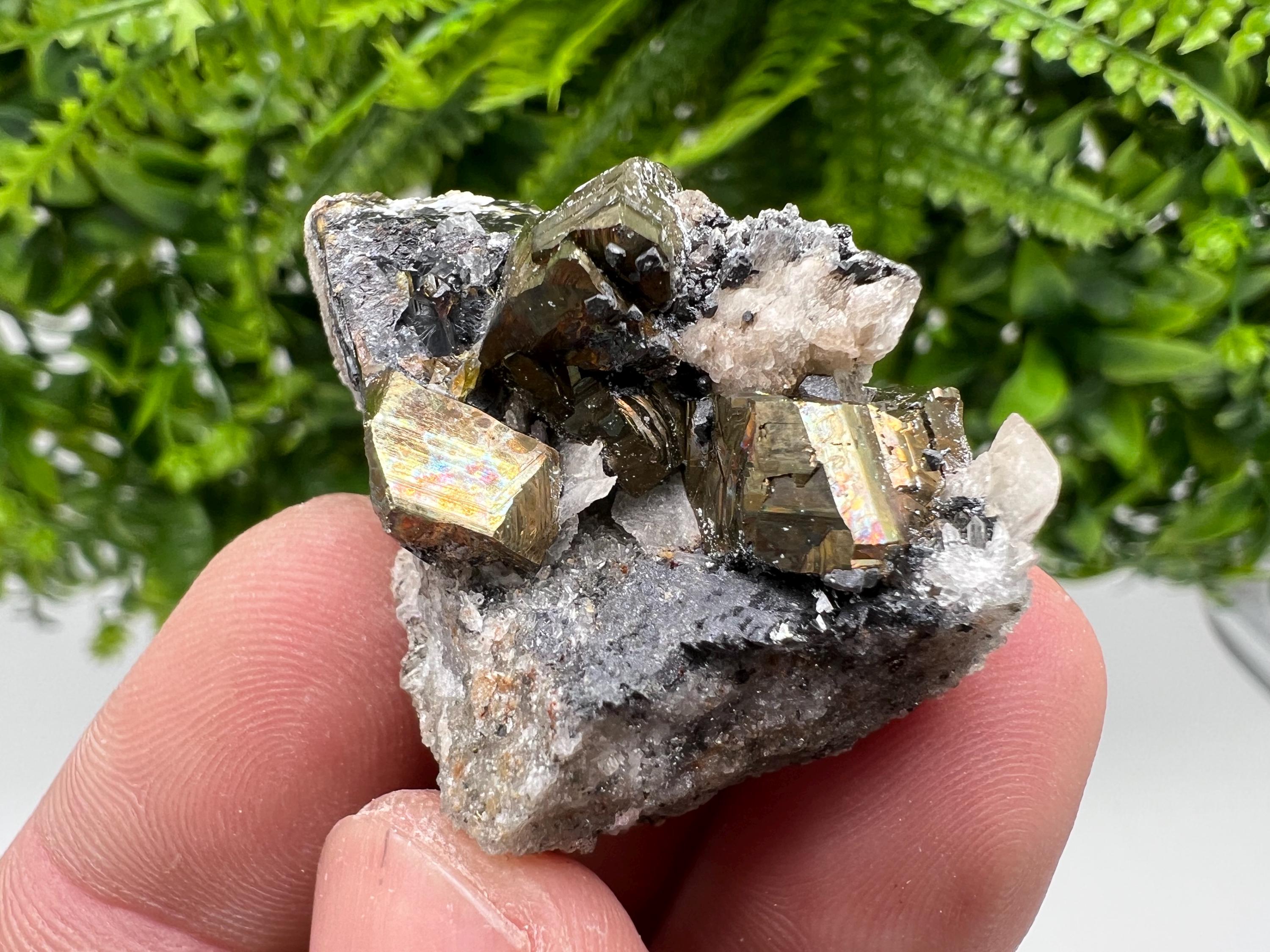 Pyrite with Hematite, Sphalerite and Quartz Specimen, Bulgaria